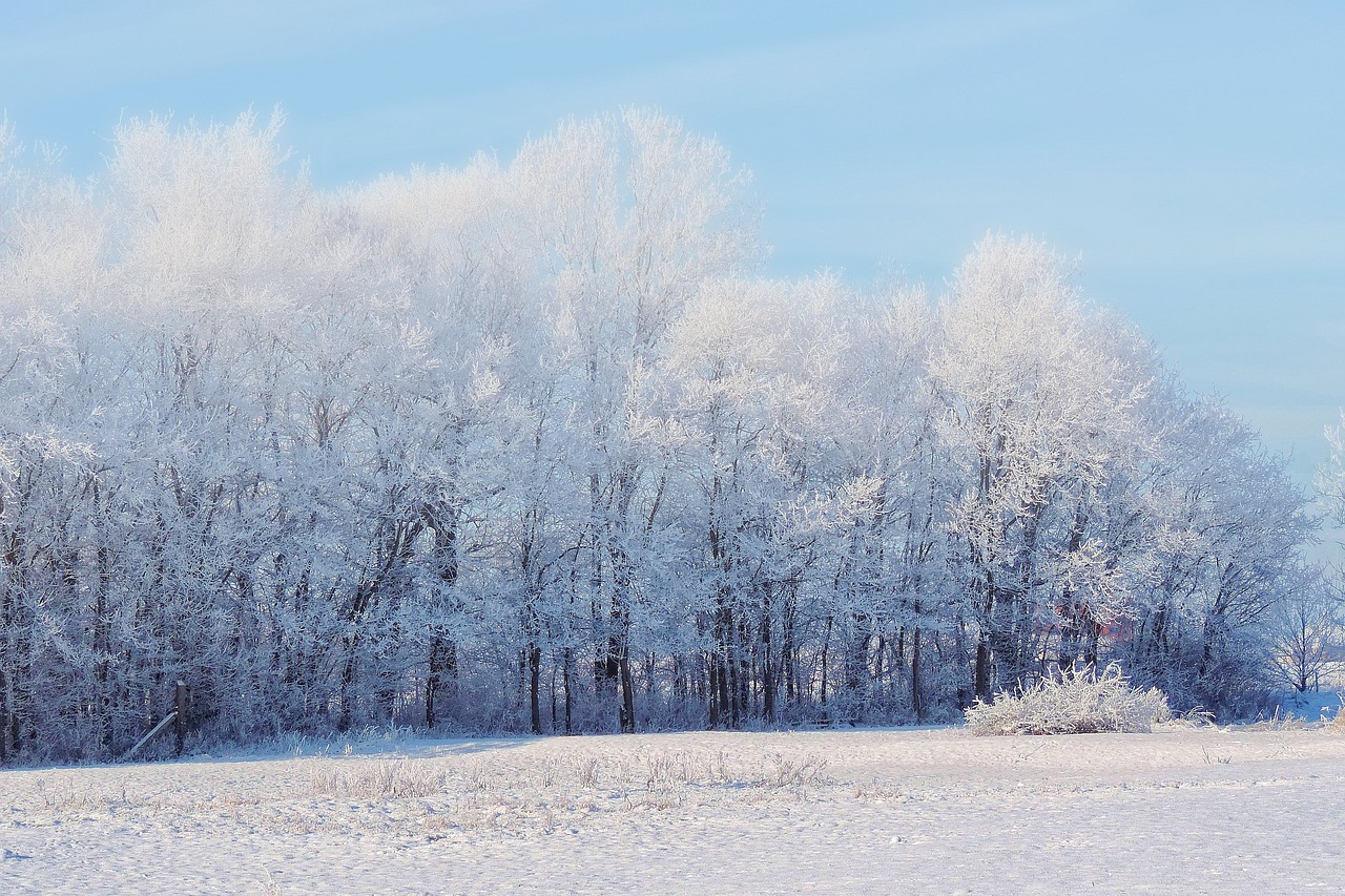 原神尘歌壶飞雪飘落，如何打造你的专属雪景？